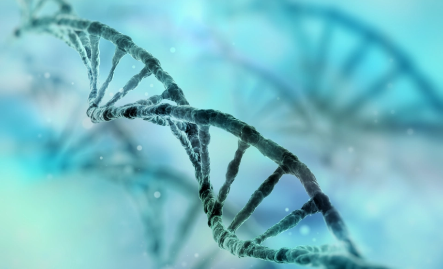 Oxitec公司修改了蚊子的DNA(Getty)