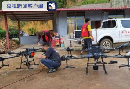 黄脊竹蝗入侵云南普洱市  累计发生面积近10万亩