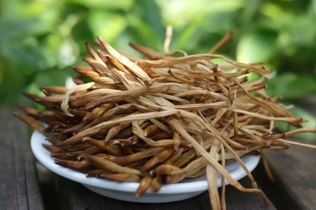 现在可以种黄花菜吗 cebc-iwhseiu6065167.jpg