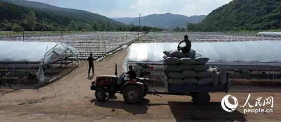 汪清县人口_嘎呀河汪清县