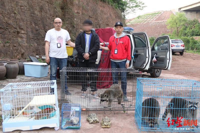 被泸州警方挡获的许某息争救的野生动物