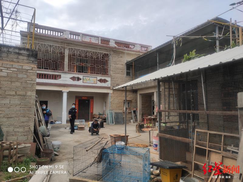 福建泉州的许某家如同小型动物园