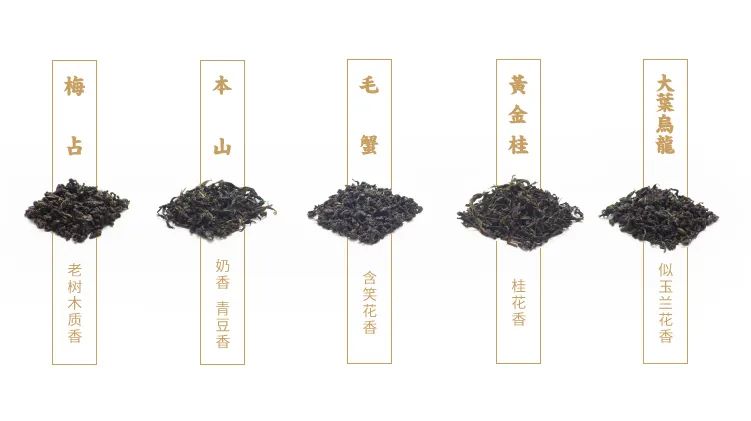 三洋村人口_三洋滚筒洗衣机(2)