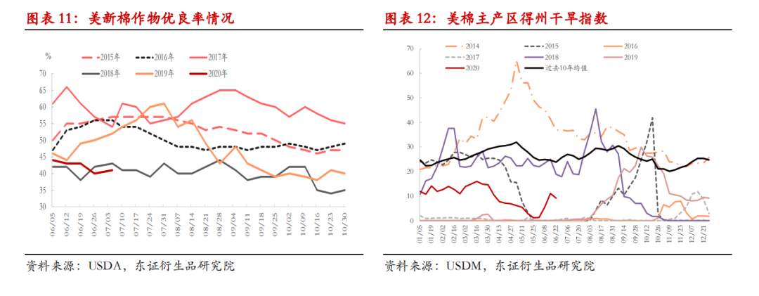 棉花半年度报告：单边行情难现 震荡缓升中寻找