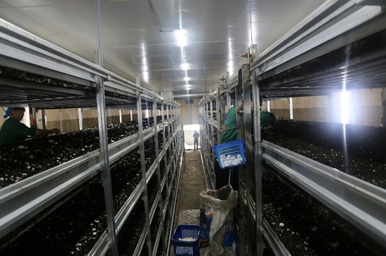 叶县gdp_叶县县衙