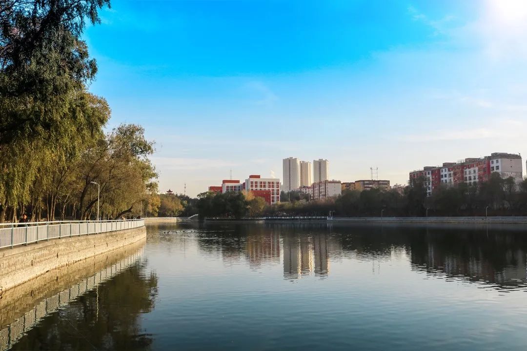 新大四季,美在其中