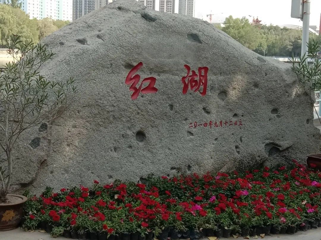 新大四季,美在其中