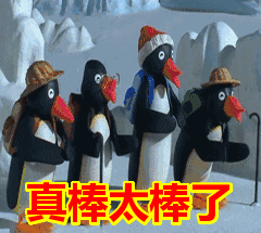 今天是我回来的第七天,我又一次爱上了这里!