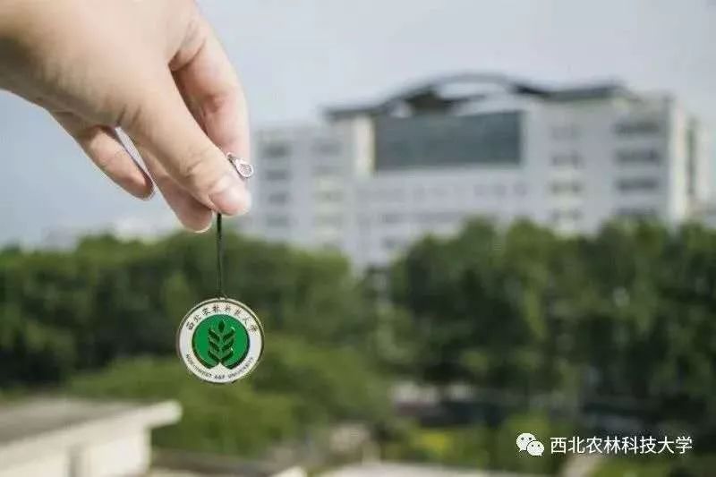 @研究生,恭喜!你被西北农林科技大学录取了!