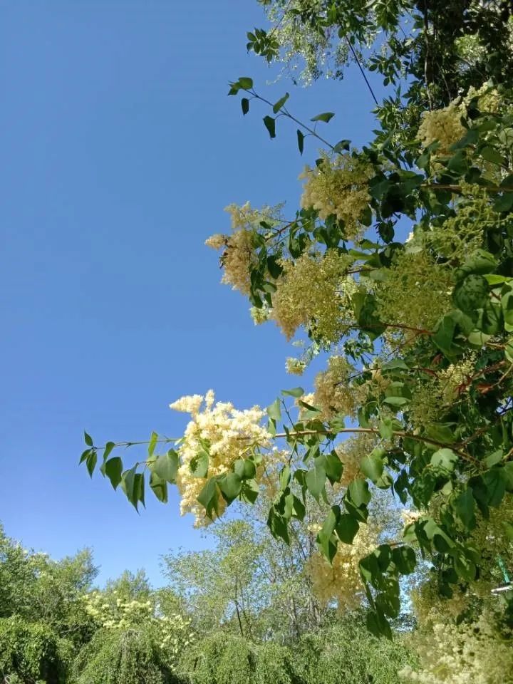 新大四季,美在其中