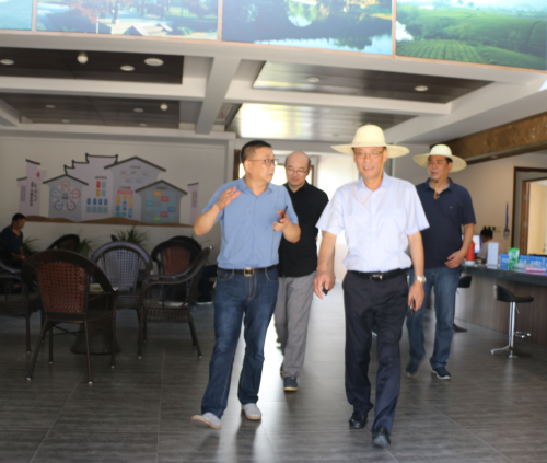 顾浩在建德调研生态“坡地村镇”建设试点工作