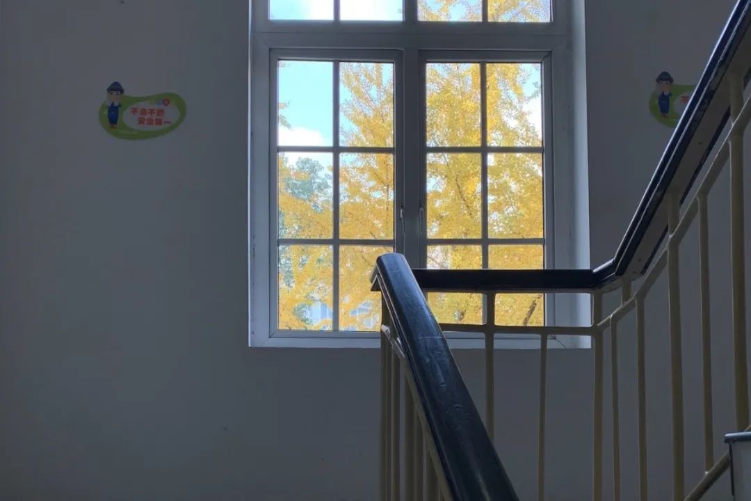 成电,猜猜我爱你有几分?