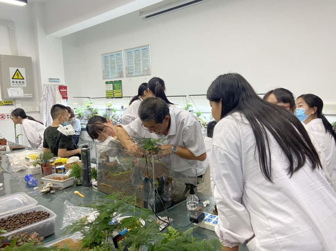 超想去!来西农的这个艺术展“游山玩水”!