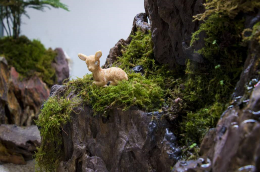 超想去!来西农的这个艺术展“游山玩水”!