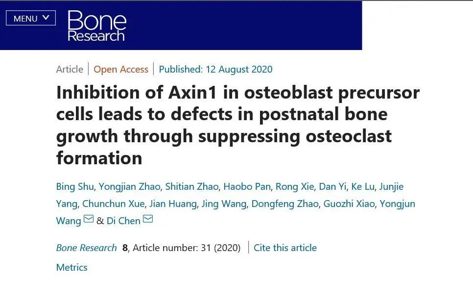 新闻|王拥军、陈棣联合团队在《Bone Research》发表骨发育调控机制的研究成果