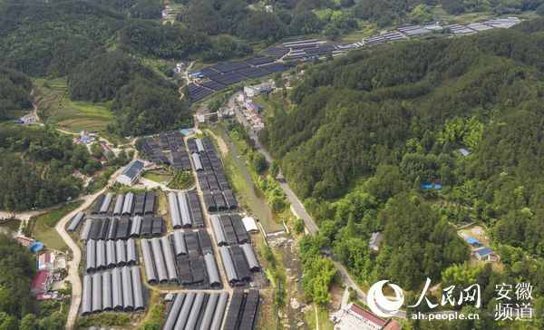 太平畈乡人口_霍山太平畈乡太平村(2)