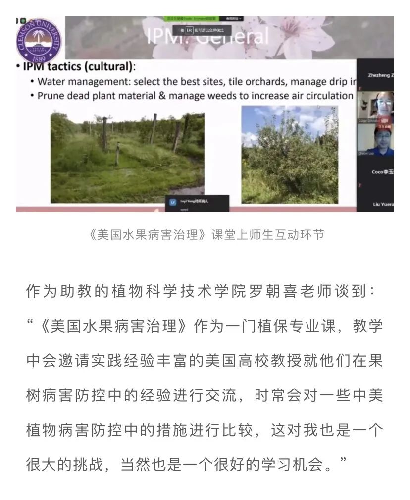 这些暑期全英文课,你学习了吗?
