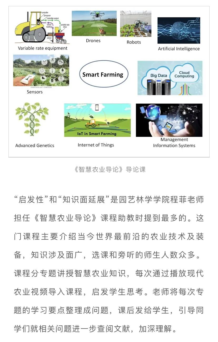 这些暑期全英文课,你学习了吗?