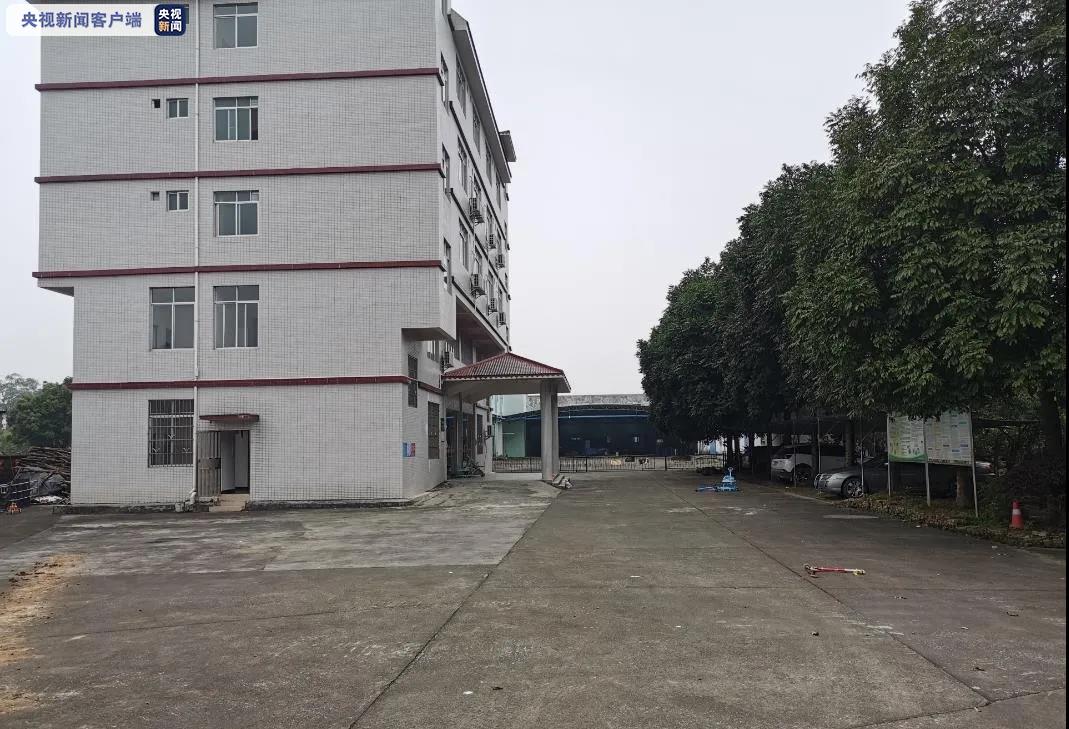 本文图均为 央视新闻 图
