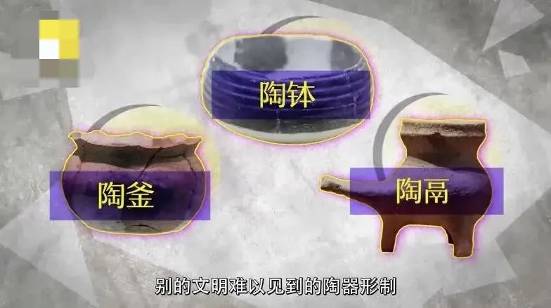 为什么只有中国人爱喝热水?