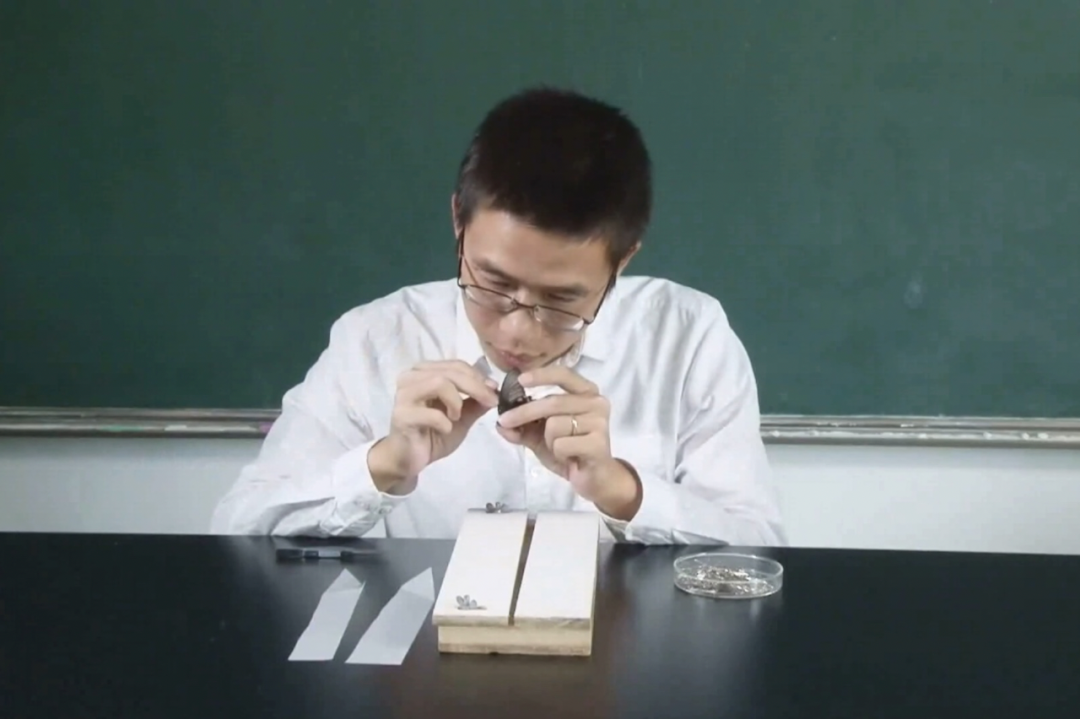 这个八月,华东师大变身网红夏令营打卡地!