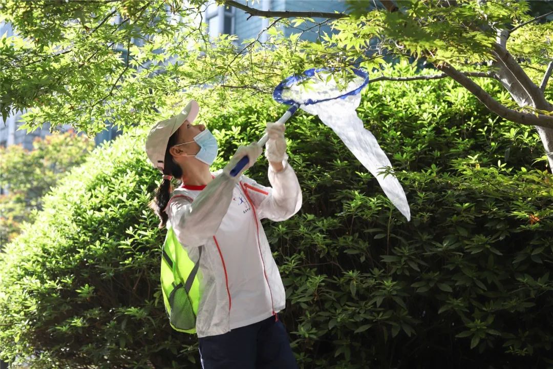 这个八月,华东师大变身网红夏令营打卡地!