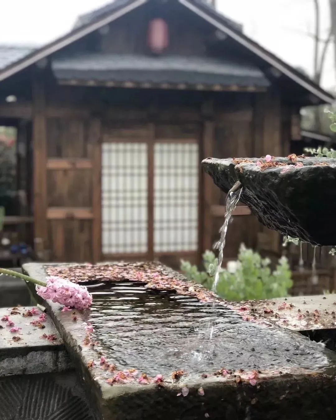 “香城style”石大站,等你打卡!