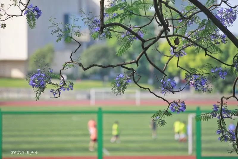 西南大学师生返校和新生报到指南来了!
