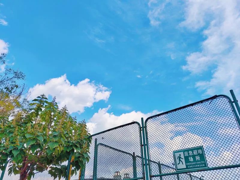 今日处暑!