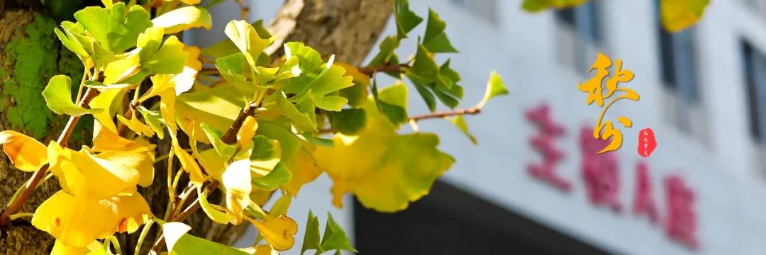中石大24节气 | 极致的美好,从即将到来的相聚开始