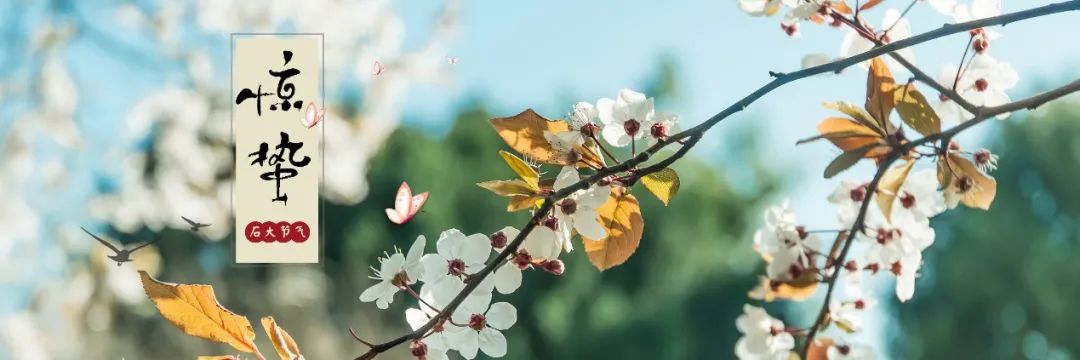 中石大24节气 | 极致的美好,从即将到来的相聚开始
