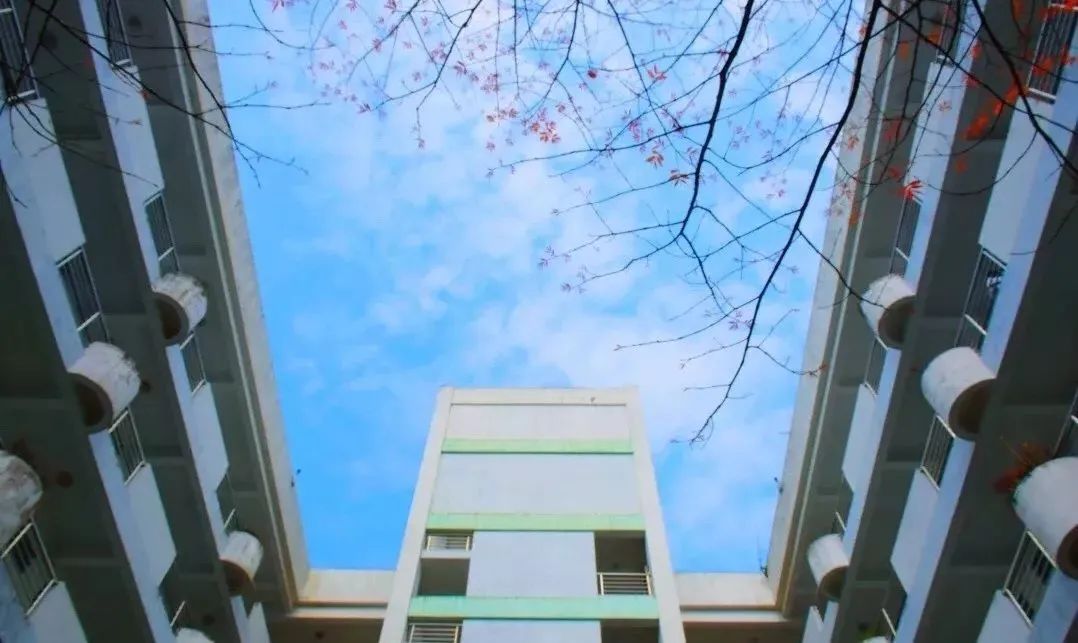 怪你过分美丽,让我如此相思