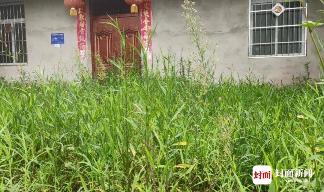 四川男子离婚路上“杀妻” 邻居:他给人印象老实巴交