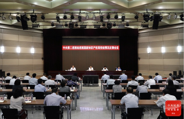 中央巡视组:国家知识产权局促进知识产权成果运用和转化不够