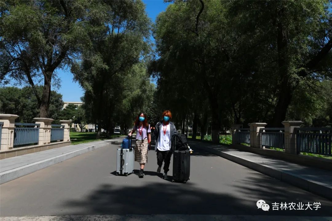 开学啦!热烈欢迎同学们返校!