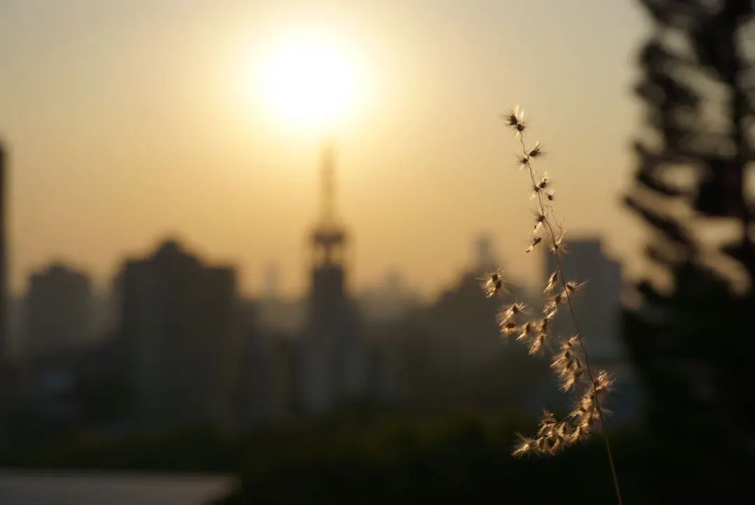 怪你过分美丽,让我如此相思