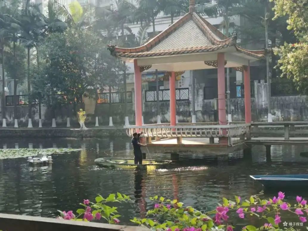 怪你过分美丽,让我如此相思