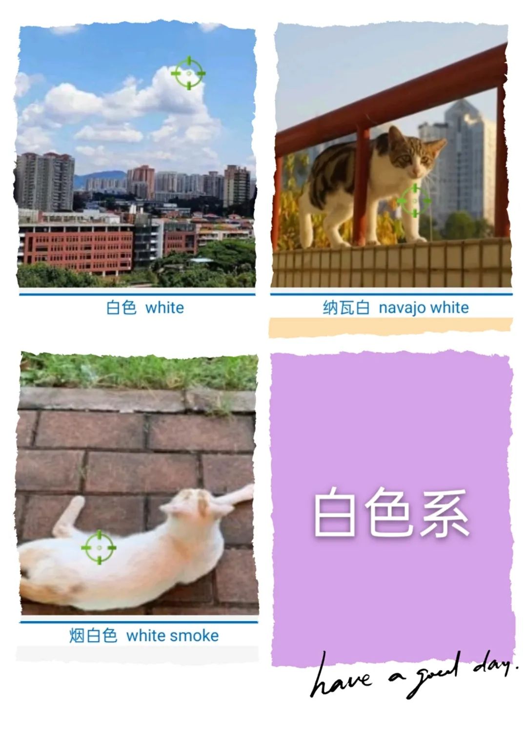 怪你过分美丽,让我如此相思