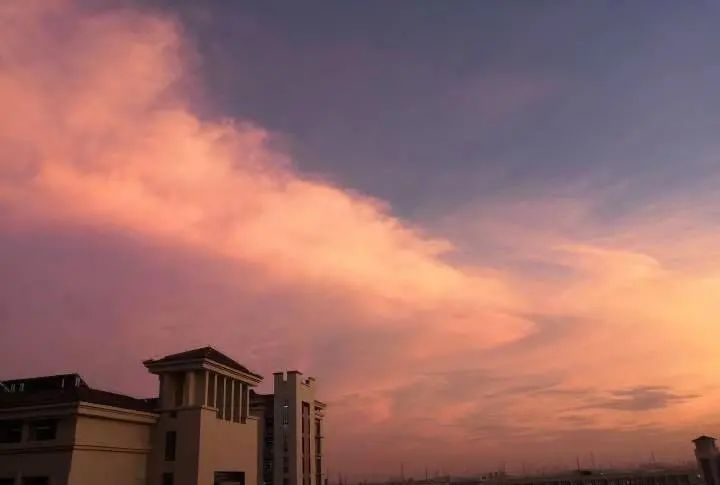 怪你过分美丽,让我如此相思