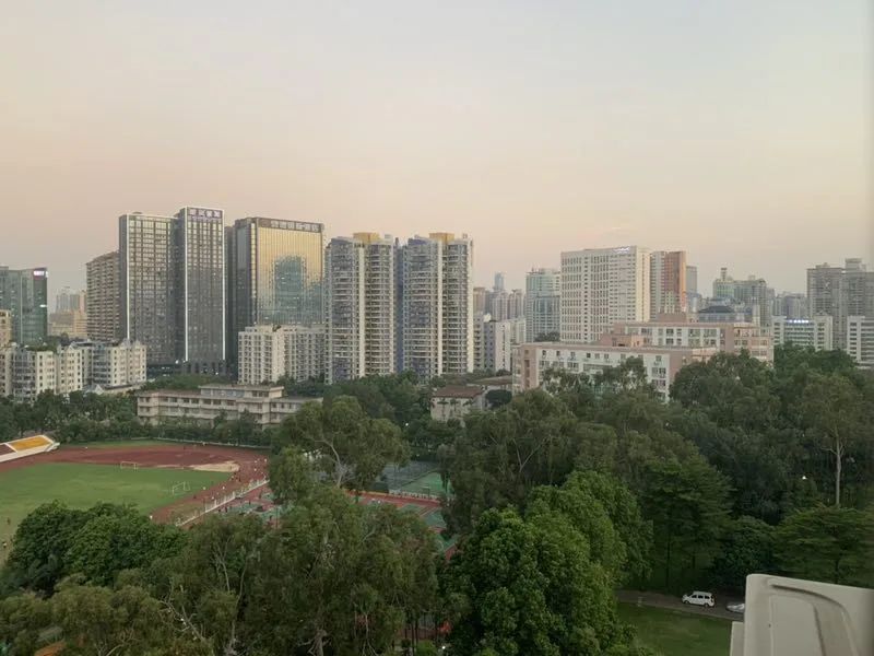 怪你过分美丽,让我如此相思
