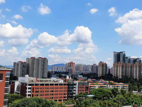 怪你过分美丽,让我如此相思