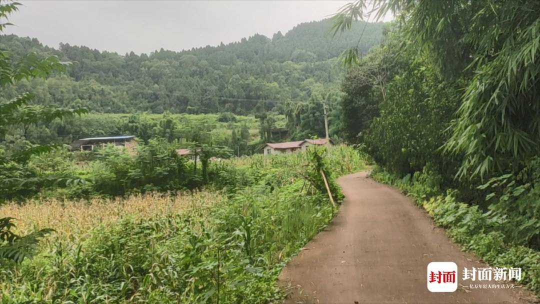 四川男子离婚路上“杀妻” 邻居:他给人印象老实巴交