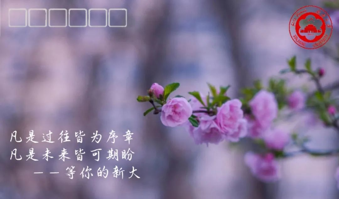 快看,新大“萌新”的专属明信片大礼包来喽