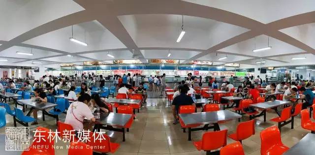 东林新生指南NO.1 | 交通住宿不迷路,校内生活有指南!