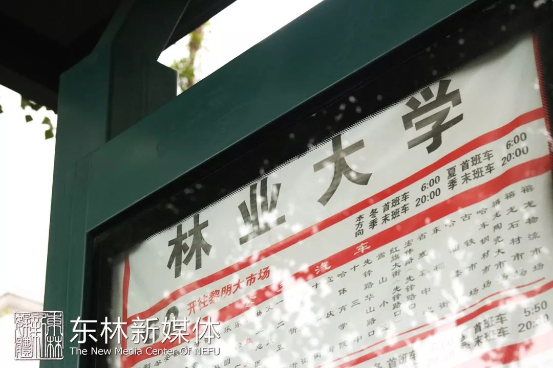 东林新生指南NO.1 | 交通住宿不迷路,校内生活有指南!