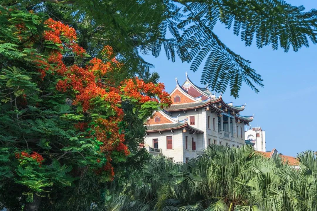 被央视点赞!厦大教授的这篇入学致辞值得一看:你可以在大学遇见什么?