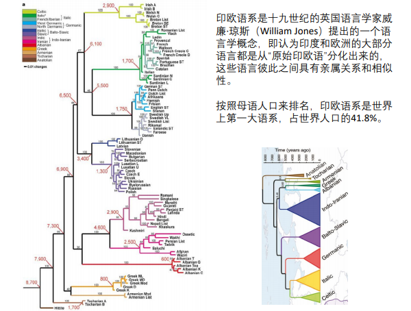 世界人口滚动_世界人口