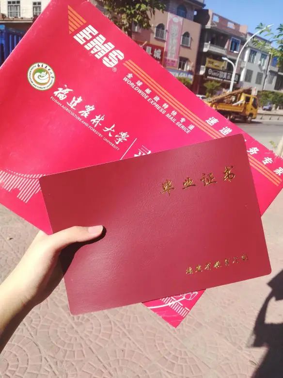 那年七夕,TA收到了农林大寄来的……