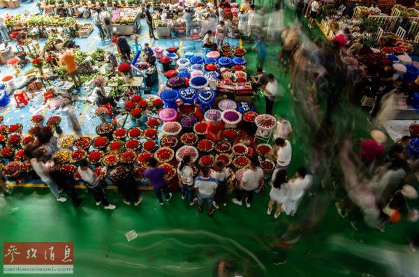 资料图片:8月25日,市民在昆明斗南花市选购。 (新华社发 王冠森摄)