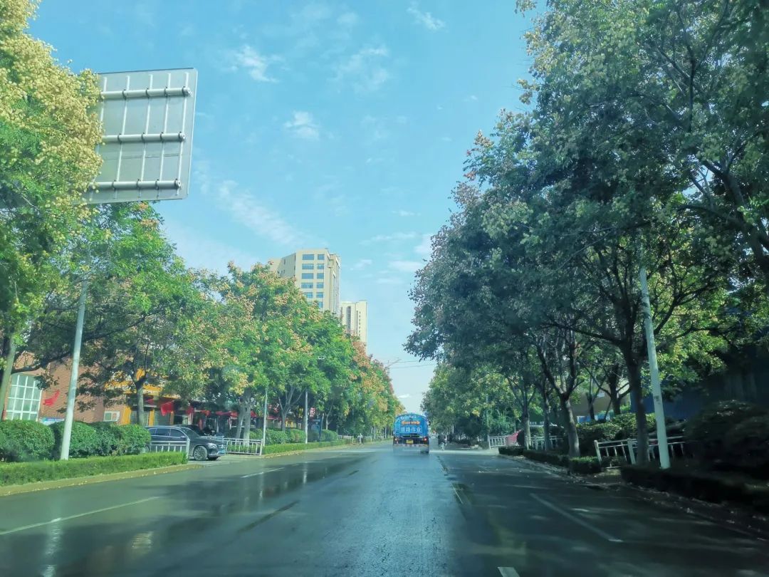 第一辑 | 济大,我想把家乡的“诗情画意”寄给你!